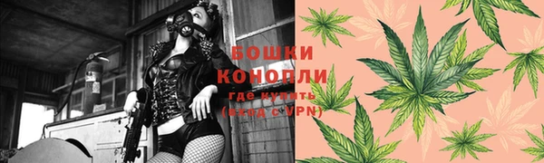 тгк Аркадак