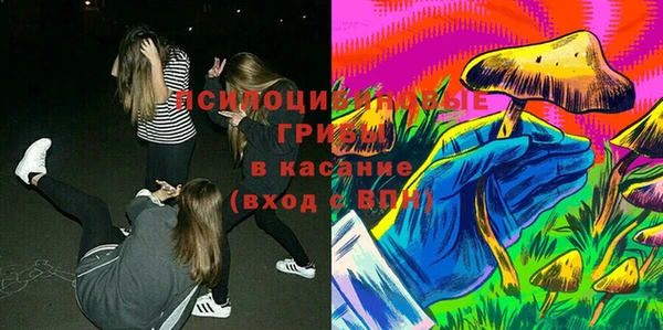 тгк Аркадак