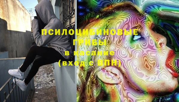 тгк Аркадак