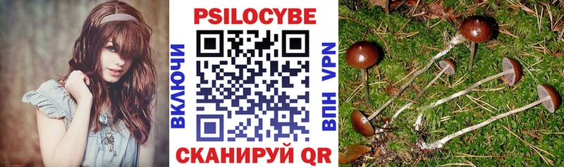 Псилоцибиновые грибы Psilocybe  Арск 